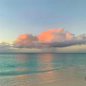 拖👙❌❌❌摸🐻
